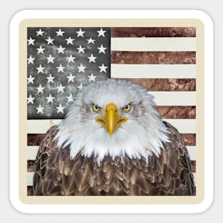 American Bald Eagle 2 Sticker